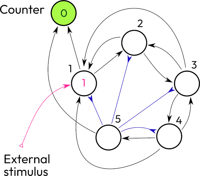 Count to five network, step 1